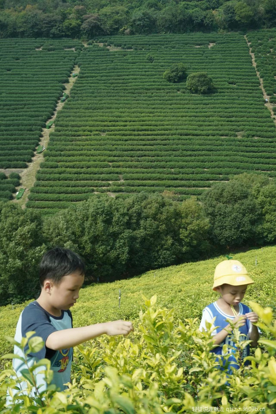 e-buVkdOZusKQklCZ5Qn08-PZyzldo7byImaHh3XUcQlOdBFBi0dsdErb27peYFF