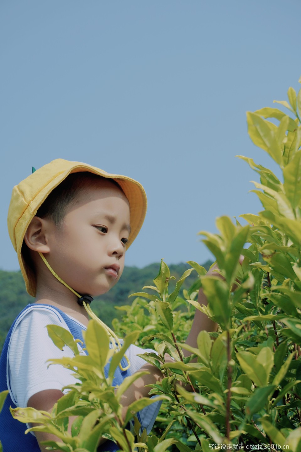 e-buVkdOZusKQklCZ5Qn0_Dc66BLStzw7QJWkxfeTV1wP58oA6Nywy4pC-9dzSCE