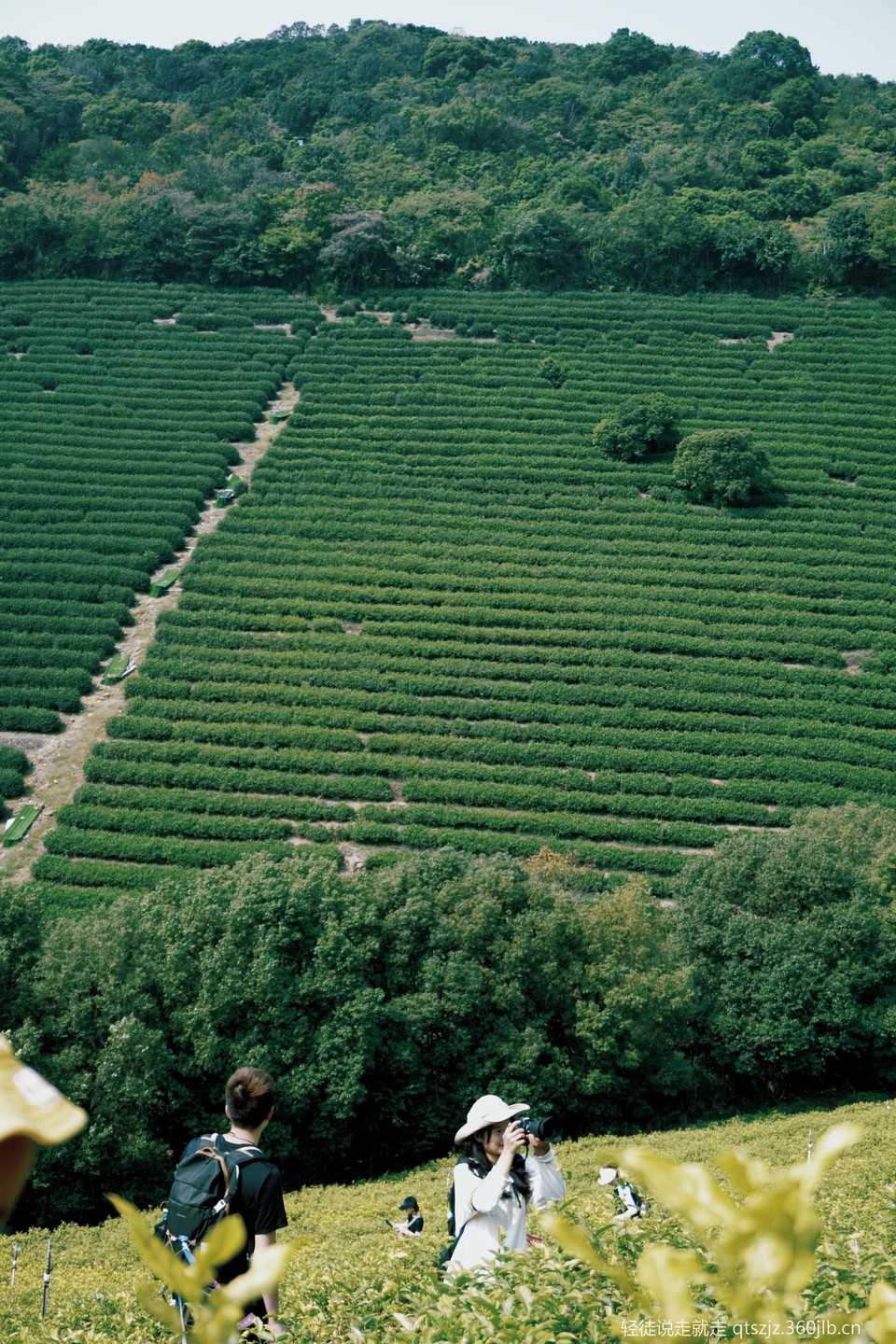 e-buVkdOZusKQklCZ5Qn03vFa3eViCNPJpCWXg57wlF8QSgvXDekn8g7eCISnITD