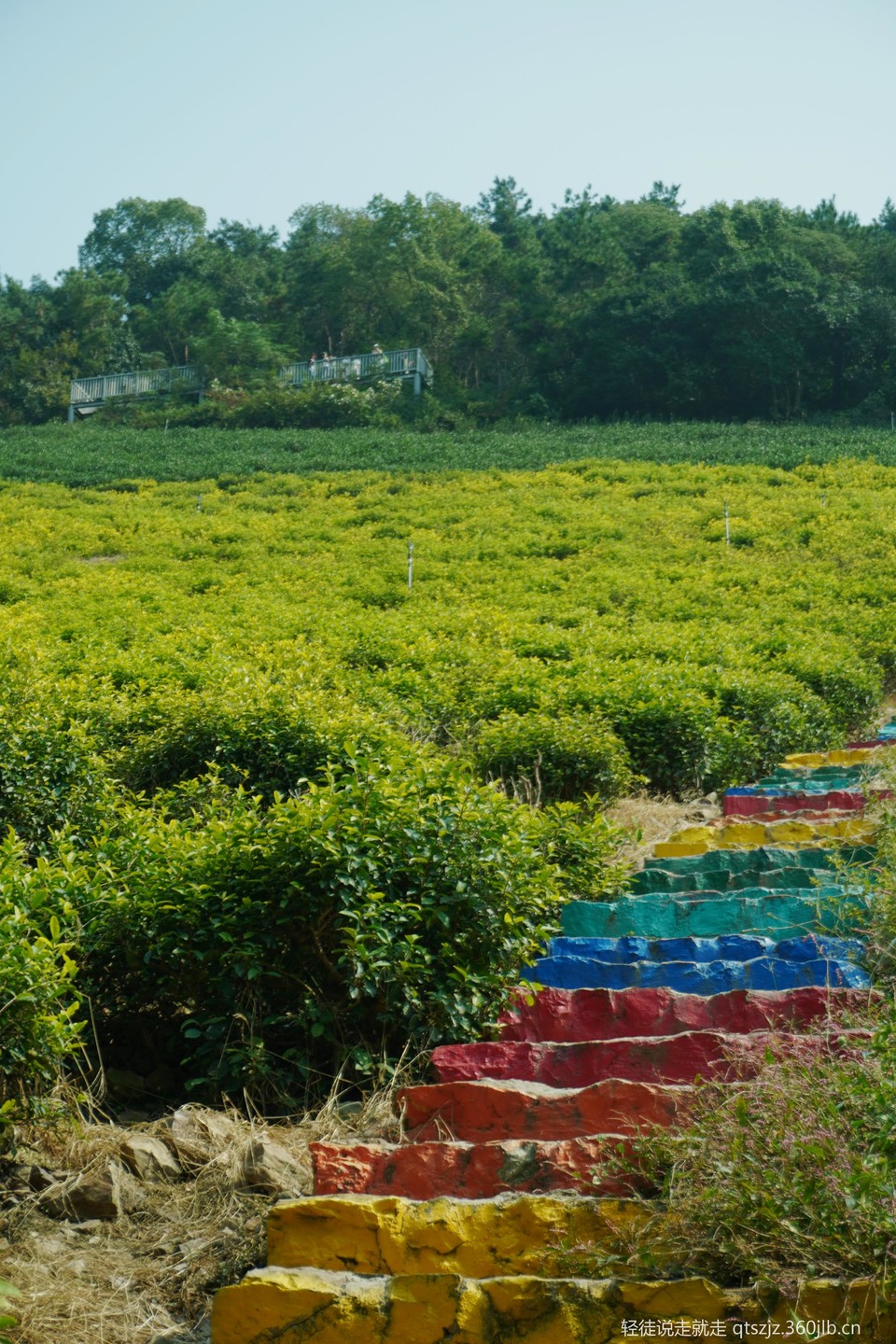 e-buVkdOZusKQklCZ5Qn05DqfbgSJ0VOmS00G7jl-M2QWLD8x_0vlqo_JfG84JOQ