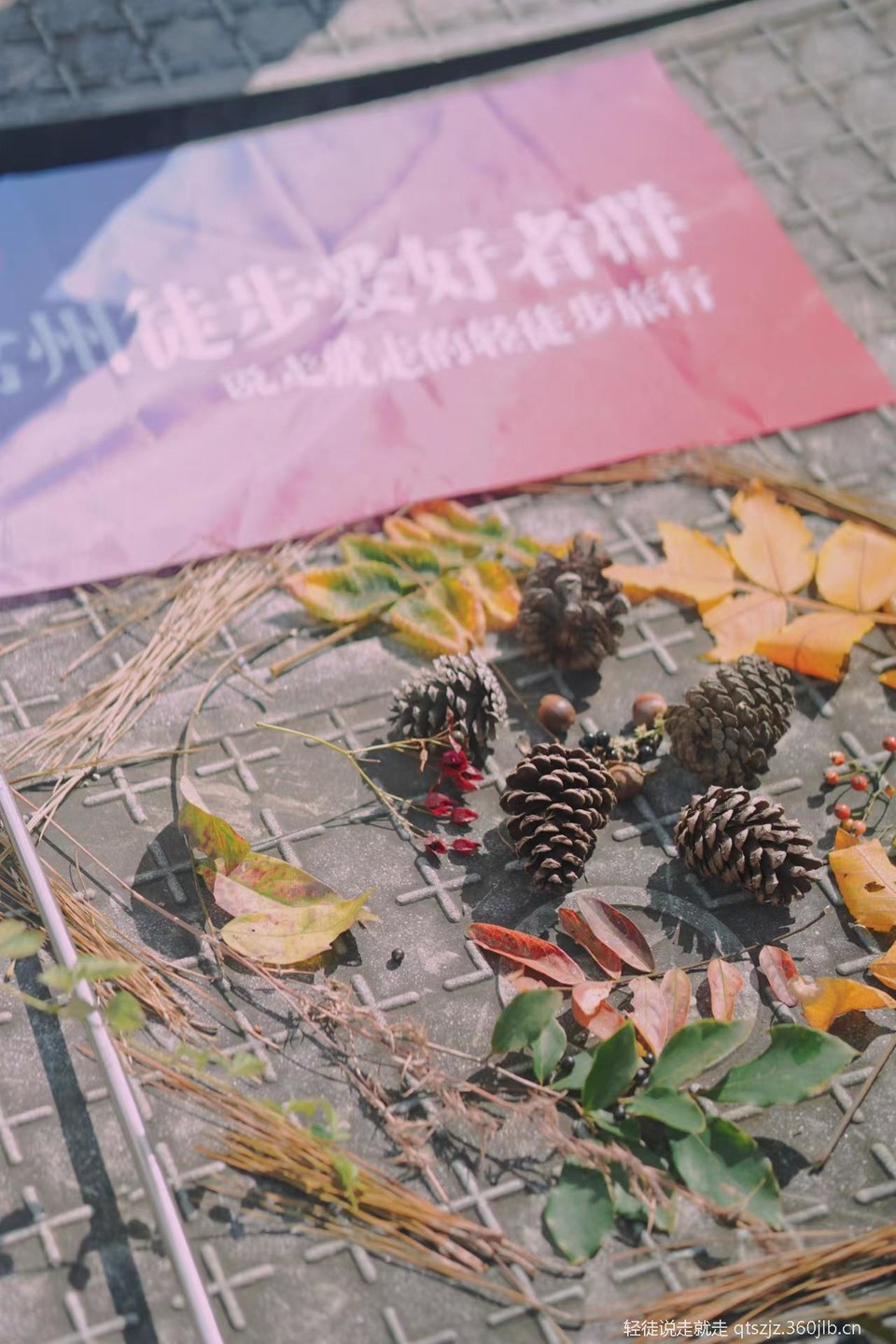 tsbdqydMlkI7JE6_Y1UcvnlgRzmxi-8C0VXDIh46mAKGPI2rghwOc5ZYBG7TBj_P