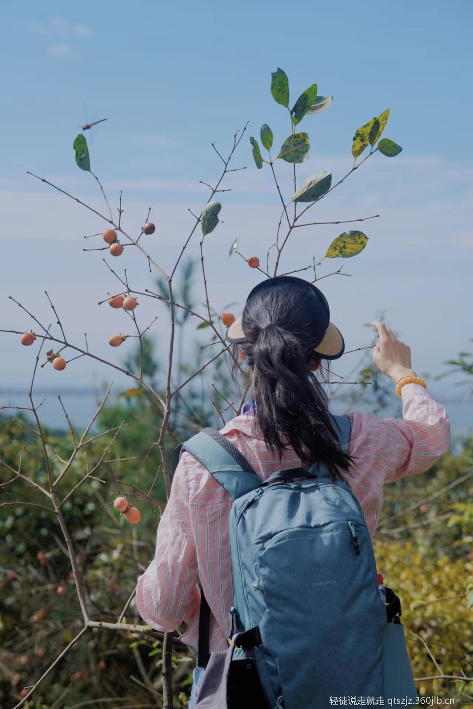 tsbdqydMlkI7JE6_Y1UcvkV3lAOMXeBu82sTCR6Pbtg1BvxK2GVcuHJQdBDcwZeN