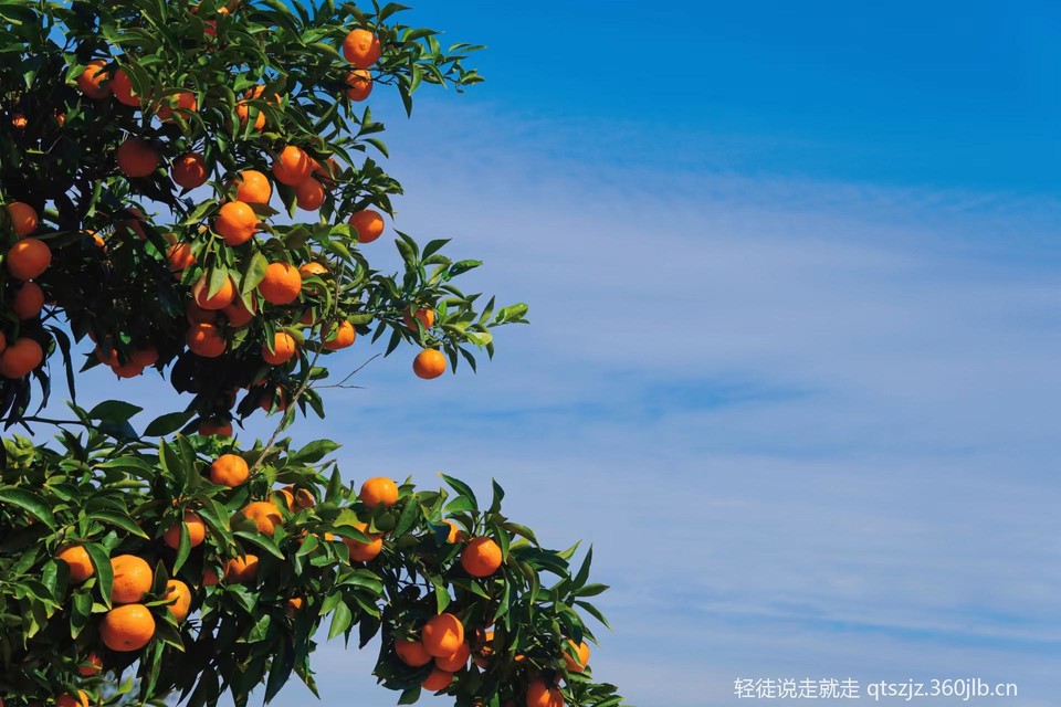 tsbdqydMlkI7JE6_Y1UcvhnAsdZLiormGECqkzrIkQ8PIE9PO0lq1tWFT3PYOSc8