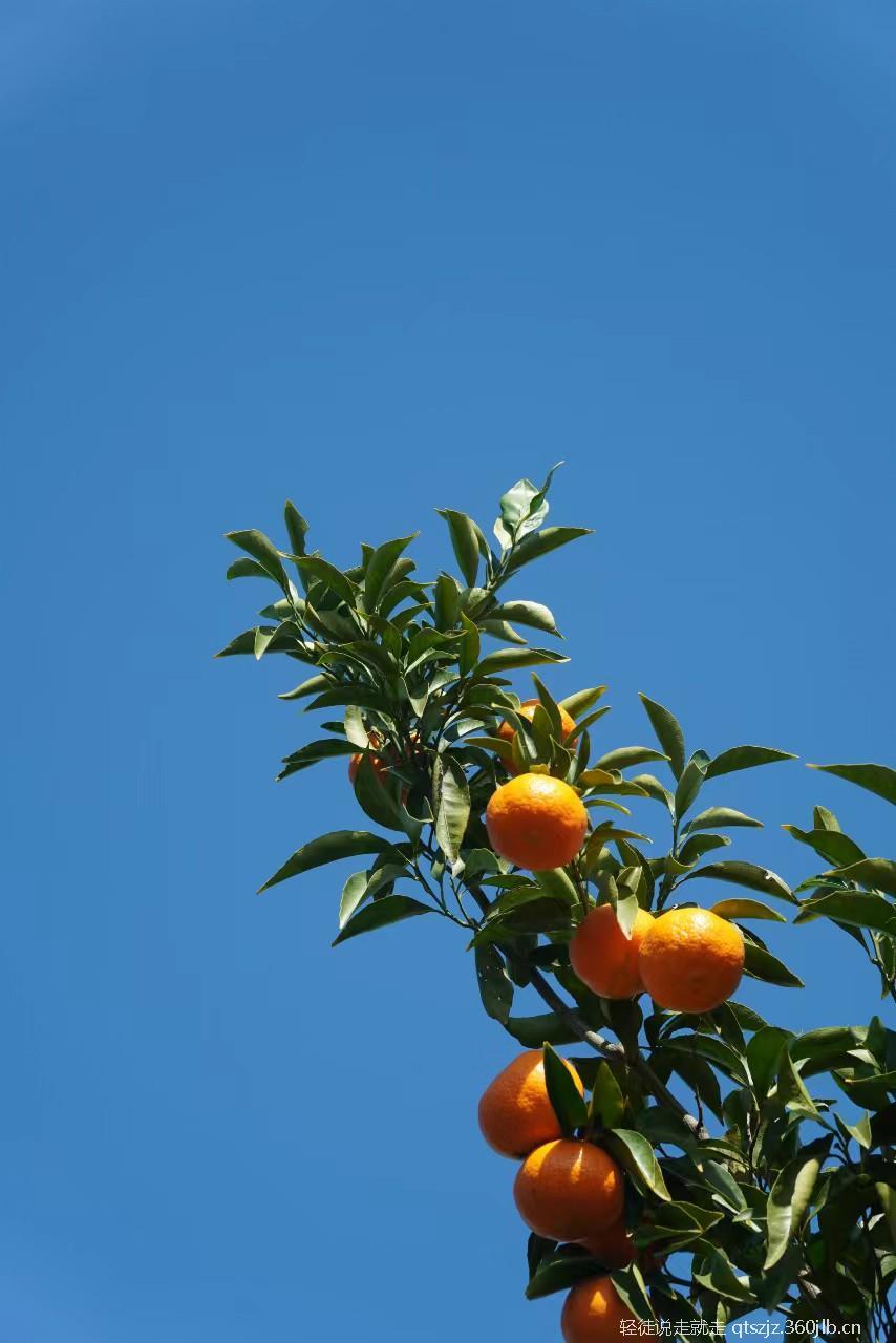 tsbdqydMlkI7JE6_Y1UcvjK9Dj809rzSIhipVJEFUugqCbLMcTwsIVtXldGQ0FW7