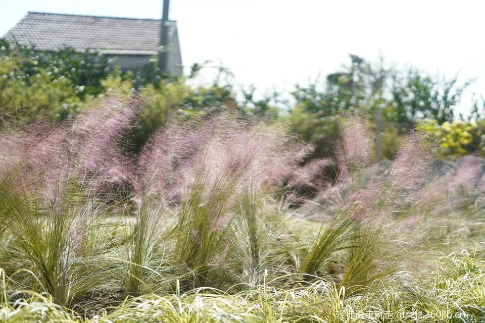 tsbdqydMlkI7JE6_Y1UcvuUmADEaGXjkfT08jloGKdDwajrZKStDTWZJw4_GUPjw