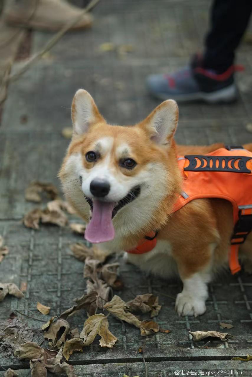 tsbdqydMlkI7JE6_Y1Ucvul3a7b2YGC9lseFrm0ag-KQnE5Zof-GAUkUX7ETCiPe