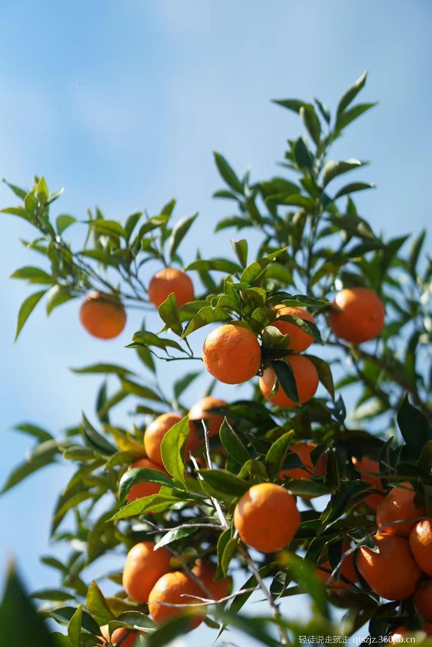 tsbdqydMlkI7JE6_Y1UcvtNpK7srV4mlMMKYwp09YWcmwF9mK8okFlcOKVPrH7jR