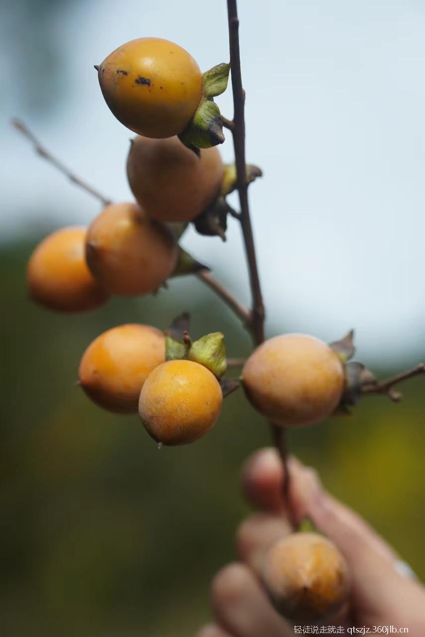 tsbdqydMlkI7JE6_Y1Ucvu7lEd9wjtDSd26U39Eg7og5WV5H2HFsN0MxaHIp5gdZ