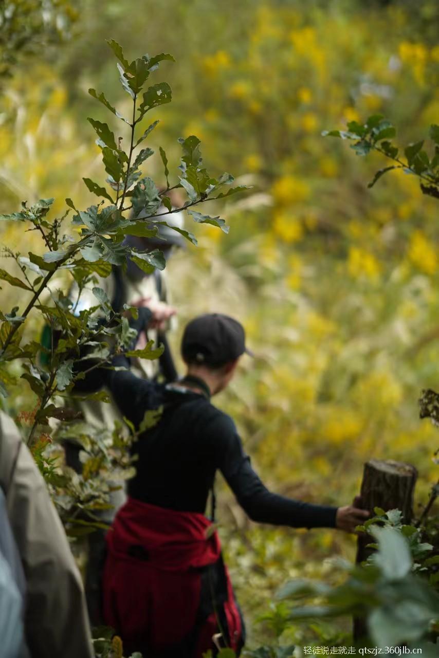 jlc6dgcEy3zdwMlCSuB3dXnnjAkUDpOh4fspnx_kwu6hctKicGohUTIu4GAG8396