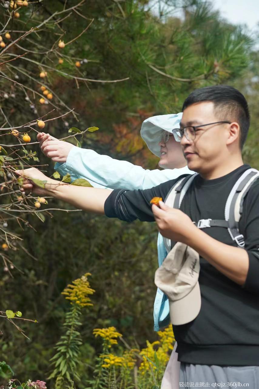 jlc6dgcEy3zdwMlCSuB3dc-9nlxX8BrwAVhcka61ibLHa1pKUbjKYiH_67ELIgvr