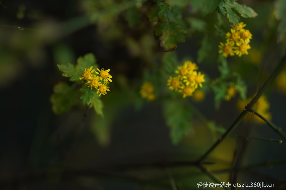 7imsJsV5HjpLcT1p91MVnWRCYBT2OOgK-uZeTyh2b5QIGu3gS7mND5C7lMgRnG7z