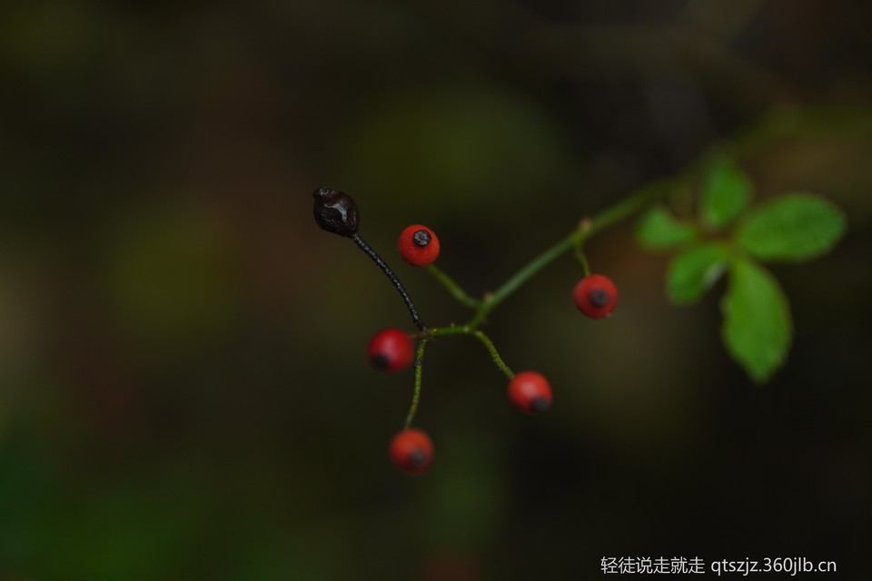 7imsJsV5HjpLcT1p91MVnb-O5VoC4NH5VOT9YVK4w2Ma7Wt9ys48HXXkhDMniO-S