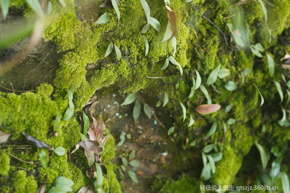 7imsJsV5HjpLcT1p91MVnTp45KlfZRXx4tJxY6qw6DQb5p-ItQ0_aNv4EQyEZPOF