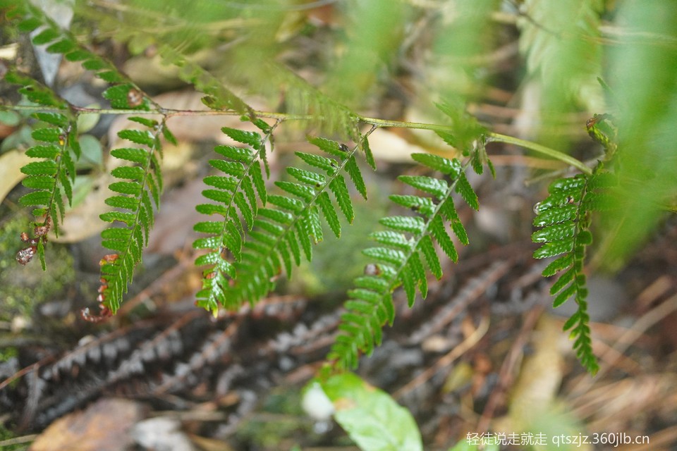 7imsJsV5HjpLcT1p91MVnf6k0Ukgsd7mHQCe4A9CedfBhSHzo3mgJf6mBe9s8Ypl