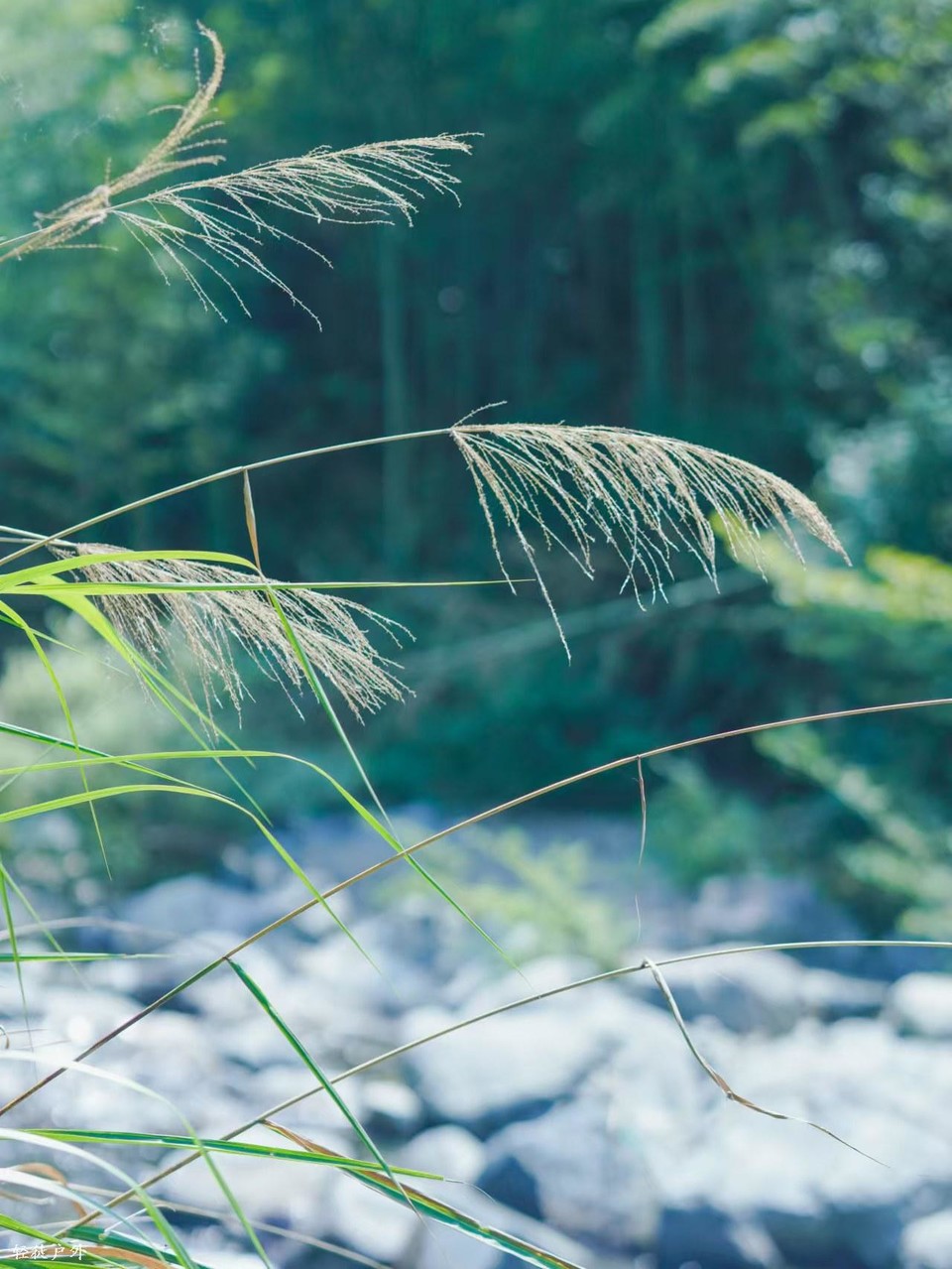 UMuf1MADDl0kXjsaoy684QOl3azFMpfiAGnZdeJxvQXAy3pwB8Qd_kI8f_e1cbRf