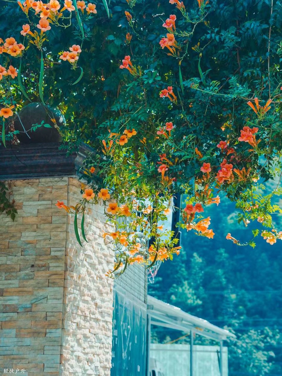 2XdsJWL7Ts9X0HbrqZvCgw2kZAt2WWXPDIMGvQ_g0LbtUJf0Pu2SmV-xZh1Z7poS