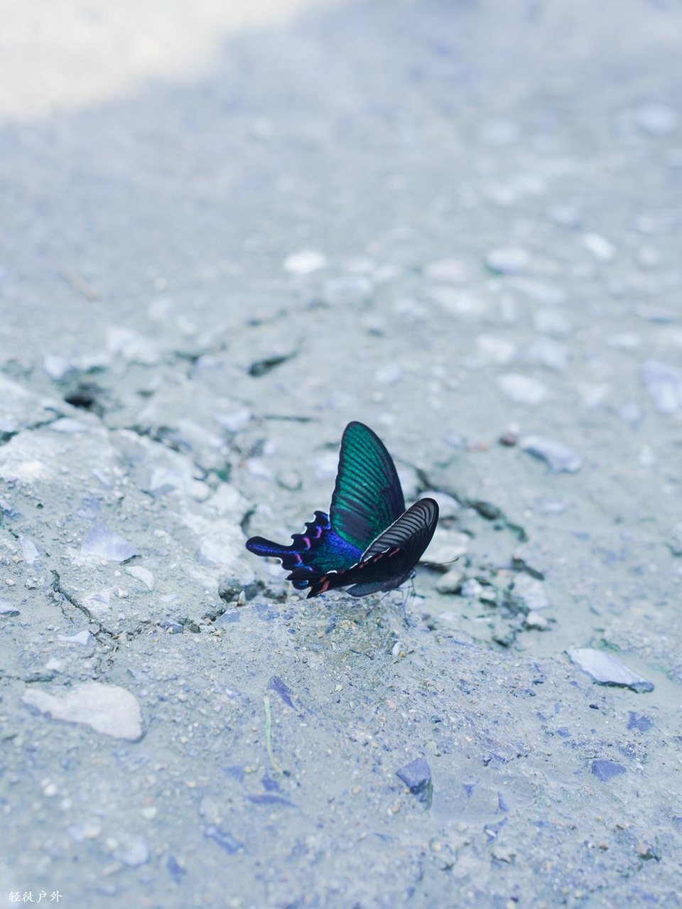 2XdsJWL7Ts9X0HbrqZvCg2urR6q3b1p9zcKQVYeiwdcvxh2zk8DNeaF8JFM6QlxV