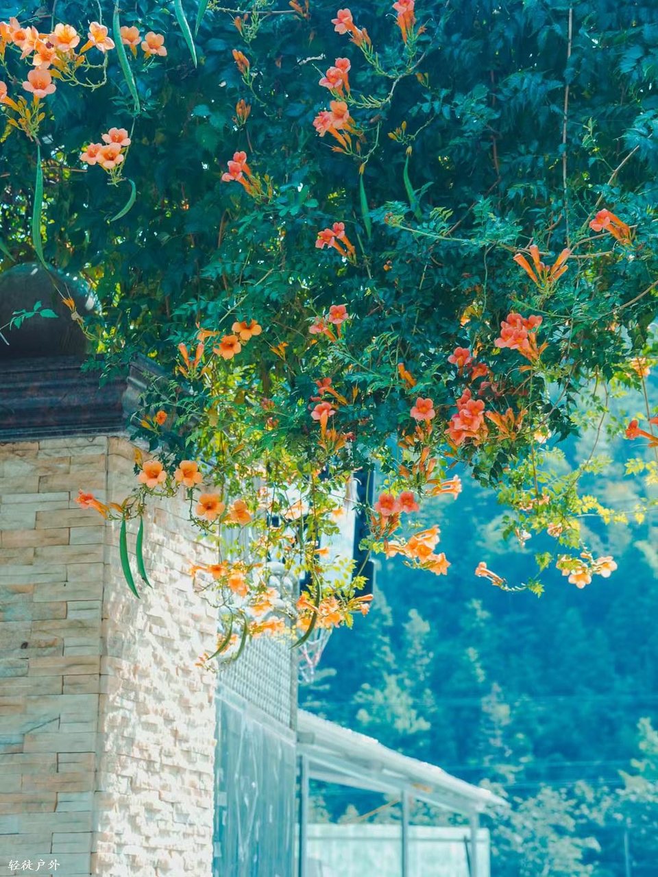 2XdsJWL7Ts9X0HbrqZvCg390fcx_dl2vfzSOh3MlAvzxX0MjxAtpTZcxKKCcSGij