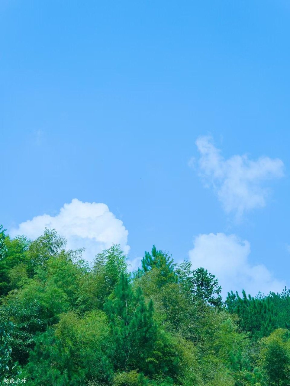 2XdsJWL7Ts9X0HbrqZvCg3BbONg6BK3Ah0yBGAoThMq8GXdh2EY8uALqipHivVRf