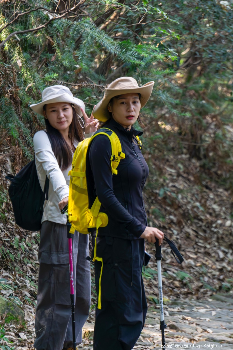 HQv8NO4QKaVidwzJUTAjsI4DNvx4kZ9QzmzWfKTcffmlpB_zjof0TO8vCz_Kt1Ne