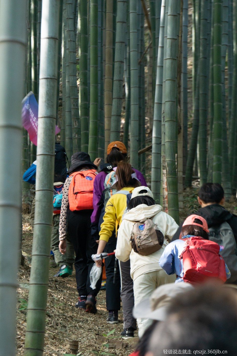 HQv8NO4QKaVidwzJUTAjsMzvf-u2DT1NXtx0W2Qt5e9Al0N-3uctHPYLayll10Hi