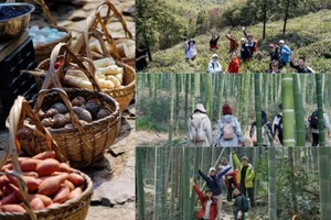 【3.25周三】湖州贡茶古道“ 一脚跨江浙两省 ”“ 茶园春色竹海秘境 ”13km环线