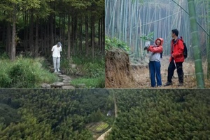 【4.2春假】江苏溧阳“ 经典松岭古道”“ 山顶俯瞰竹海”“ 穿越竹林寻笋记”6km轻徒步