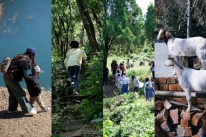 【4.6清明】常州方山“ 山光湖色踏青徒步”“ 穿越竹林茶园野道”5km环线