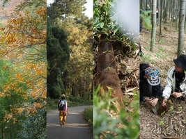 【4.12周日】句容空青山“ 野葱王国挖笋探险”“ 小众宝藏绿野仙踪”9km挑战徒步