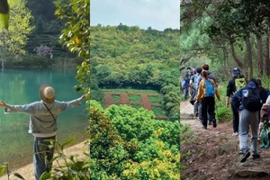 【4.26 周日】苏州旺山 “ 旺年登旺山吃旺素面”“ 茶园树林溪流新手友好” 7km 徒步小环线