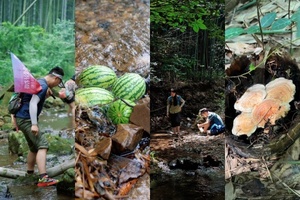 【5.14 周四】江苏宜兴 “山泉水溯溪铜官山”“绿野仙踪绿荫徒步” 6km 溯溪 + 轻徒步线