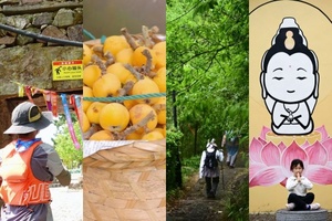 【5.23 周六】苏州东山“ 登顶东山莫厘峰” “ 穿越白玉枇杷林”8km轻徒步穿越线