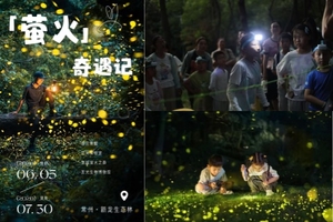 【6.7周日晚】常州新北“穿越萤火虫森林”“发光博物馆暗夜自然课”轻徒*森屿田联盟萤火虫奇遇记小课程