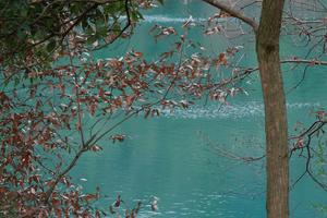 ✔️【4.21】周日浙江湖州赏明前梯田茶园/观“小九寨沟”7km亲子线车程2小时