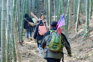 【9.21周日】溧阳青峰山“绝美溧阳翡翠湖”“竹海秘境探险”“苏皖国家徒步野道”6km轻徒步