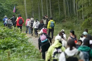 【9.14周日】溧阳“经典松岭古道小环线”“竹海秘境探险”“抓住夏天绿色的尾巴”6km休闲线