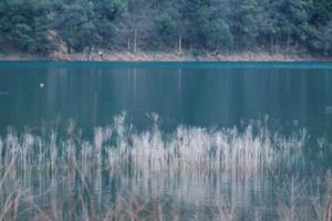 【3.24】周日浙江湖州赏明前梯田茶园/观“小九寨沟”7km休闲线/15km体力线任选车程2小时