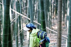 【3.29】周五宜兴王婆山错峰出行鲜笋体力线10km