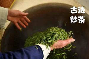 【4.4】周四宜兴采茶+乌米饭+野蒜+排骨竹笋鲜汤面平地徒步5km