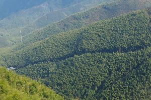 【4.9】周二天目南山竹海锅底山野道大环13km