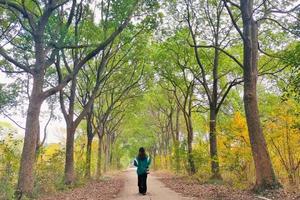 【4.13】周六下午茶武进三勤徒步3km紫藤花秘境+户外串串锅“清明”节气会员8元聚餐盛宴