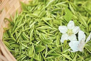 【4.14】周日下午场宜兴万亩茶田徒步5km+无限采茶无限挖野蒜会员28元升值399狂欢最后一天（内含采茶成本）