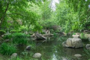 【4.16】周二南京紫金山兔子线18km体力组