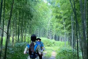 ✔️【4.20】周六铜官山轻徒步7km纯野路穿越线