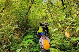 【4.25】周四无锡马山横穿拈花湾下午场6km休闲演出线