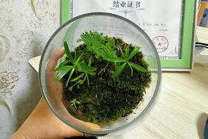 【4.27】周六武进三勤上午场丁丁领队生态缸小课堂+休闲徒步3km 会员成本价活动