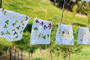 【4.27】下午场轻徒户外小课堂/支持大学生创业“非遗文化植物拓染”