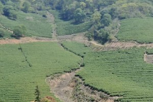 【5.14】周二“采摘野草莓”宜兴小七尖6km工作日错峰出行