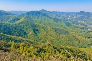 【6.6】号周四“竹海秘境”“路遇溪水”溧阳松岭环线6-10km