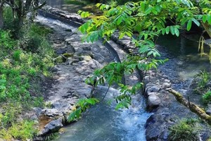【7.6-7.7】周六日“安吉公主山漂流”“无人秘境玻璃水溯溪”“夏日避暑萤火虫”轻徒步5km